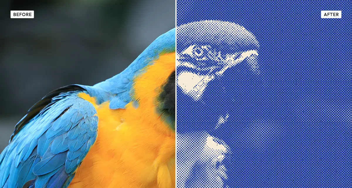Side-by-side comparison: a photograph before, and after the duo halftone effect rebuilds it from two colours of printed dots