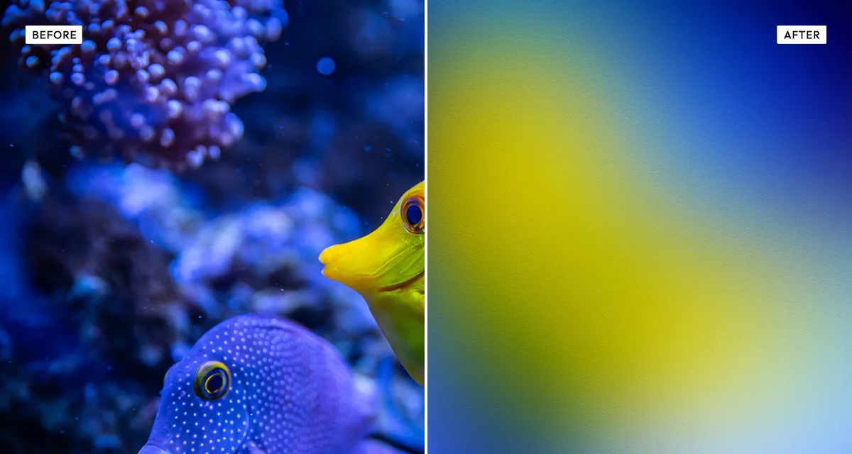 Side-by-side comparison: a photograph before, and after the Gradientor effect blurs it into a smooth abstract colour gradient