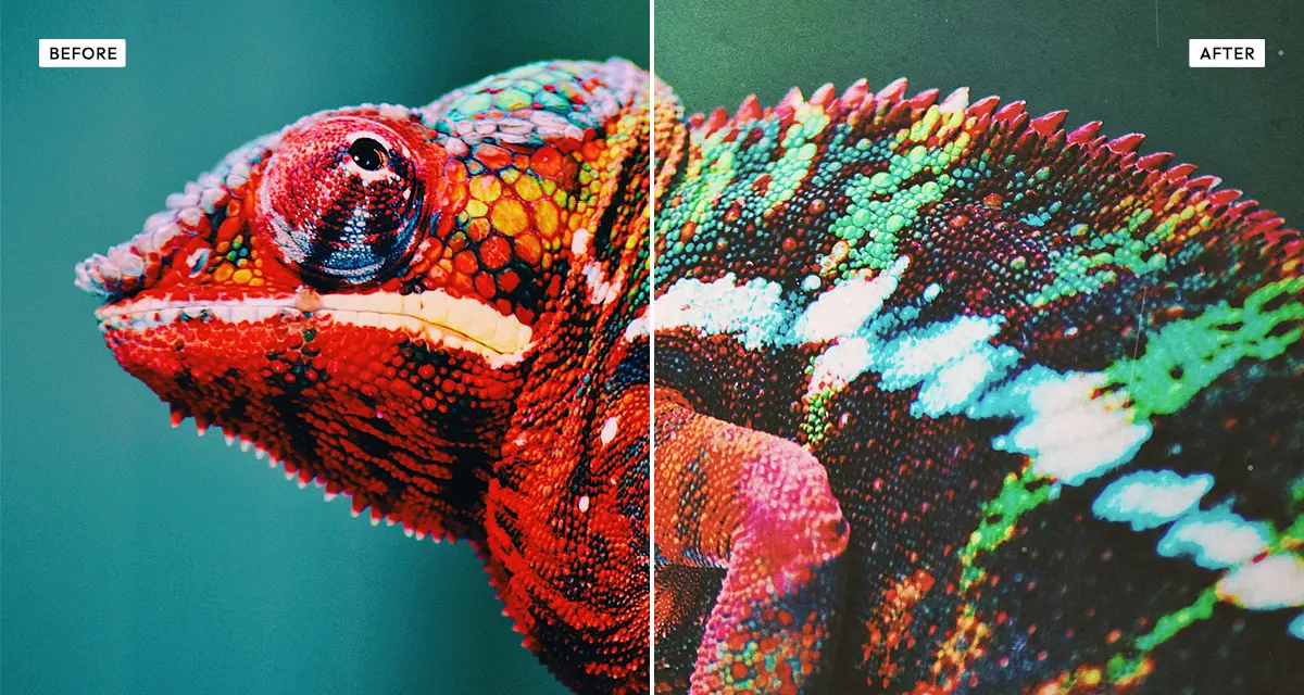 Side-by-side comparison: a photograph before, and after the Polaroid effect adds warm instant-film colour, fade and grain