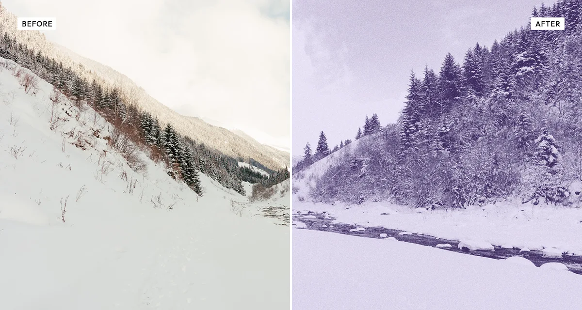Side-by-side comparison: a photograph before, and after the risograin flattener reduces it to a single flat ink wash with heavy grain