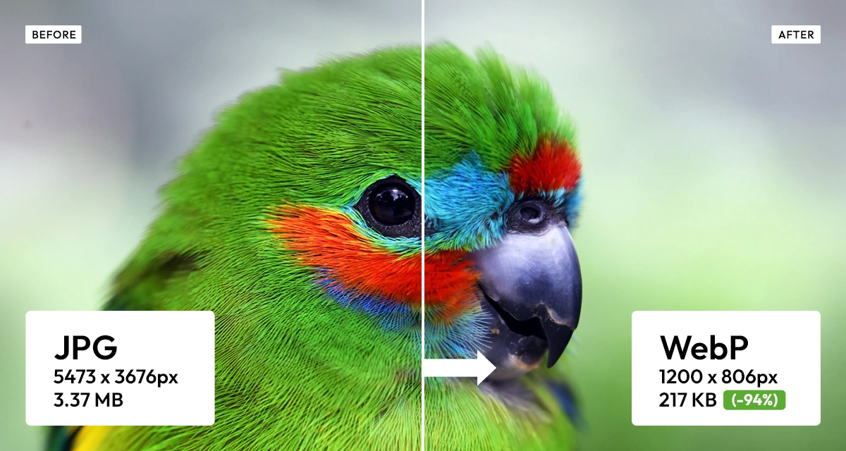 Before and after: a photograph of a green parrot as a 3.37 MB JPG at 5473 by 3676 pixels, and the same image as a 217 KB WebP at 1200 by 806 pixels — 94 percent smaller